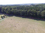 DJI 0009