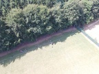 DJI 0015